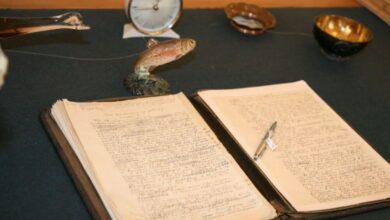 Более 800 предметов появились в коллекции музея-заповедника Шолохова в Ростовской области