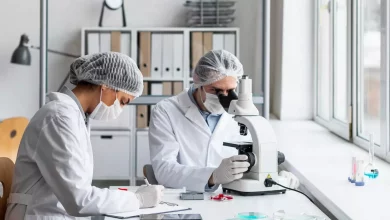 Новосибирские ученые оценят эффективность трансплантации костного мозга при раке по биомаркерам